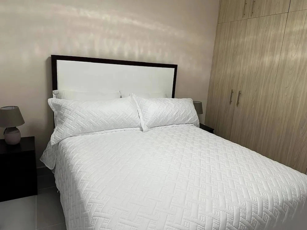 Serene 2-bedroom Apartment With Mountain Views in Santiago