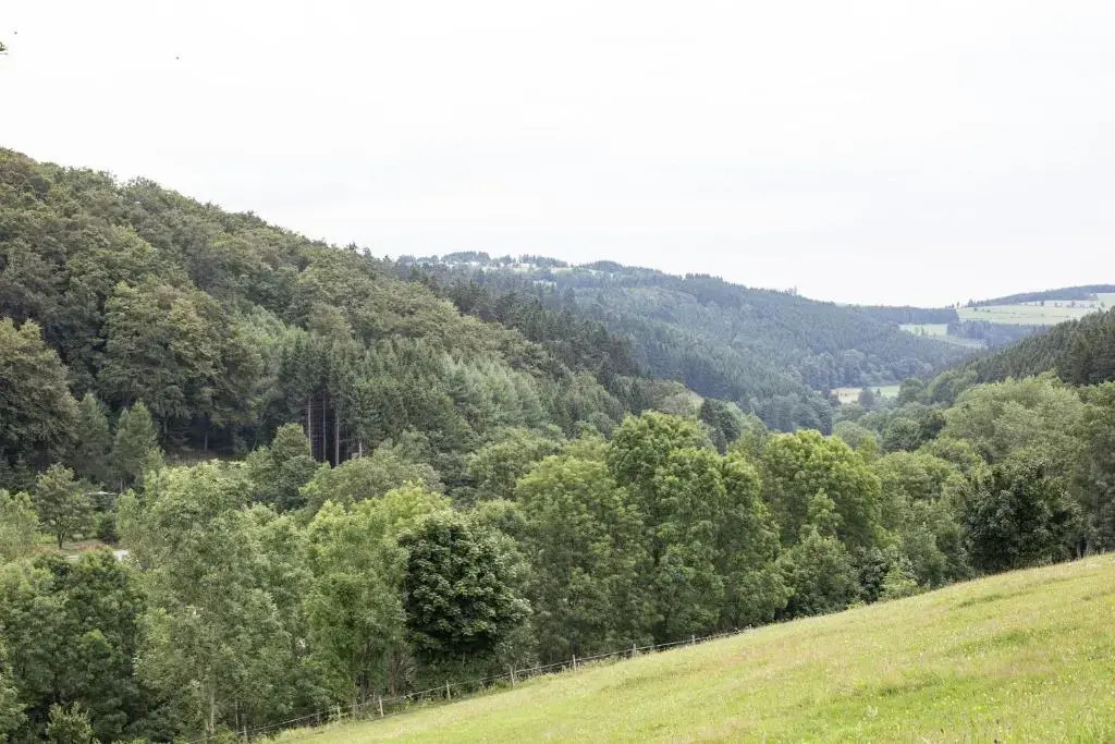 Ferienwohnung Ruhenest