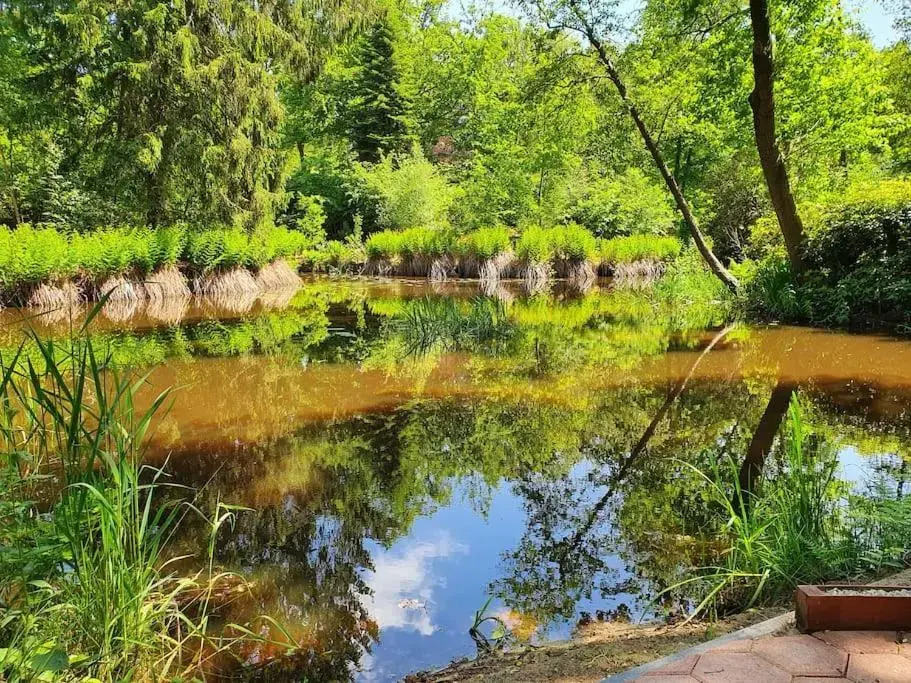 Midden in de Friese bossen op landgoed Princenhof