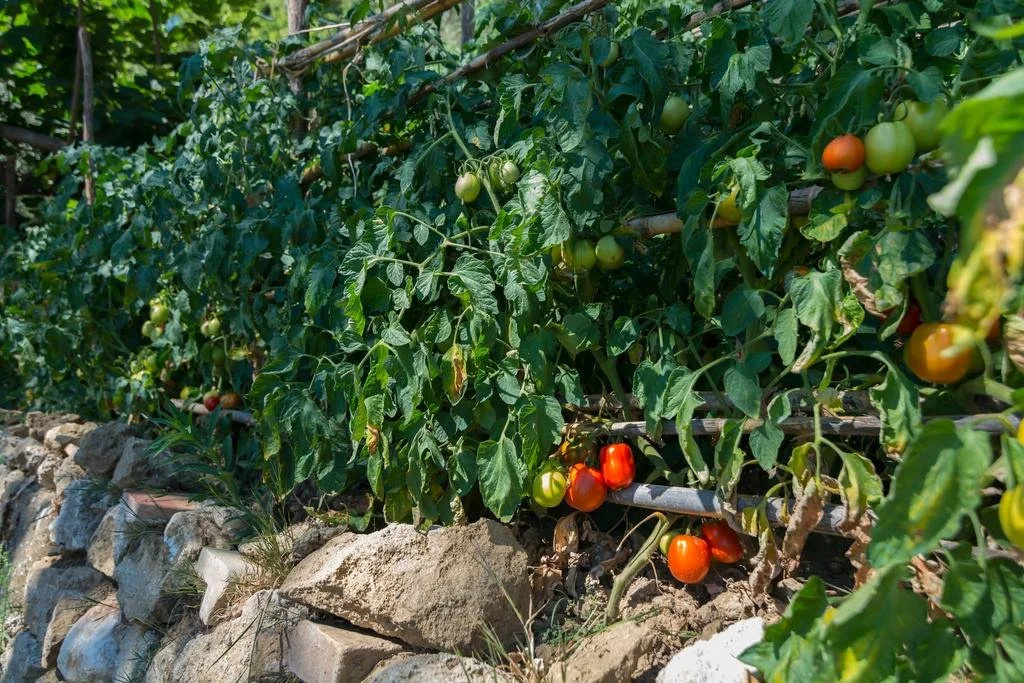 Home for Creativity - Coliving Calabria