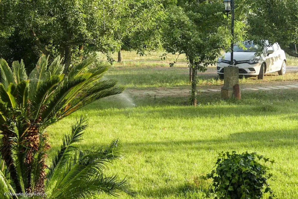 Tenuta Il Grifo