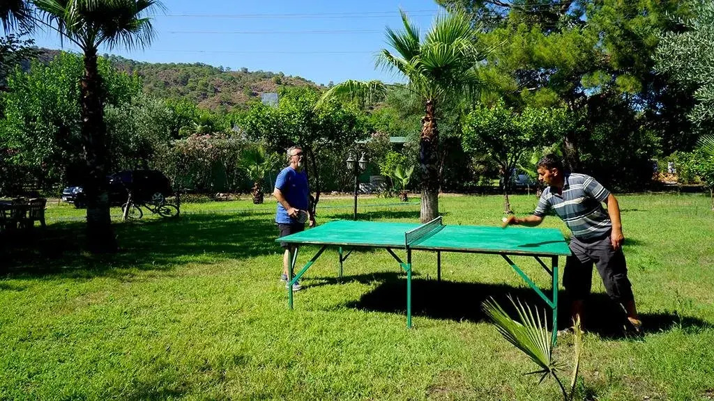 Deniz Pension