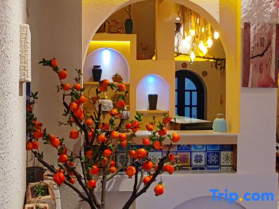 Kashgar  Adenium obesum B&B
