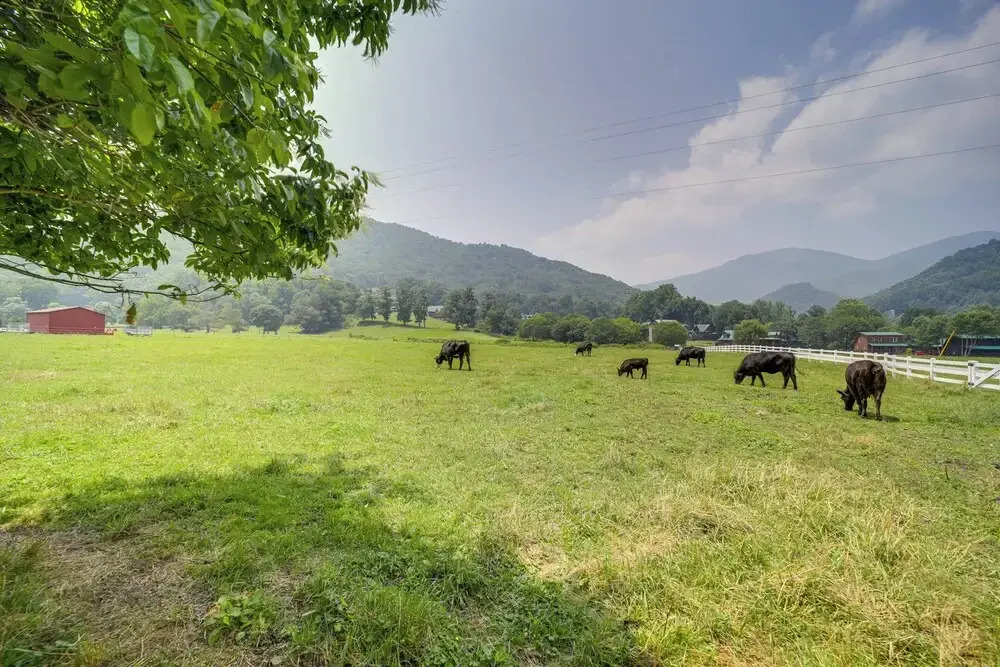 Maggie Valley Historic Farmhouse on 5 Acres