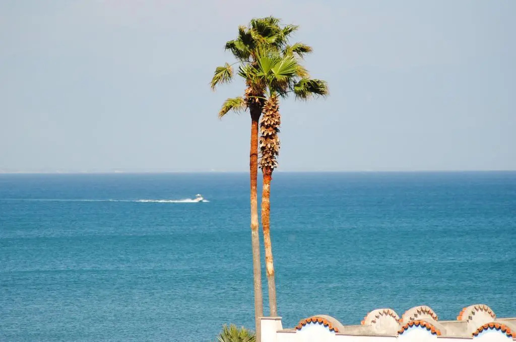 Hotel Mastropeppe