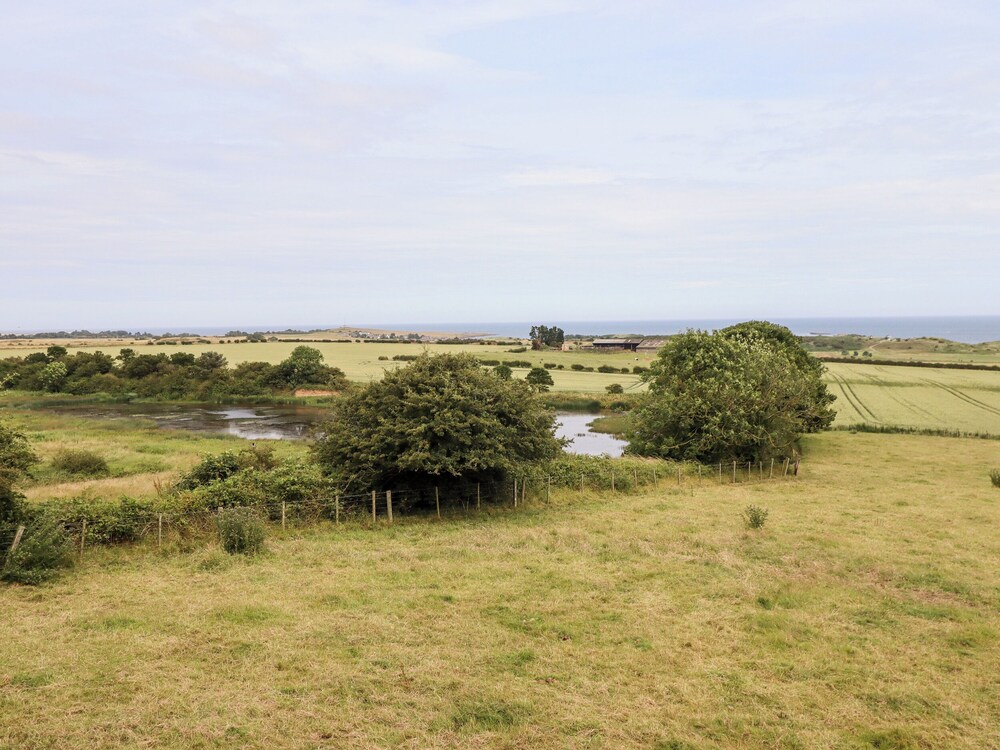 Links View