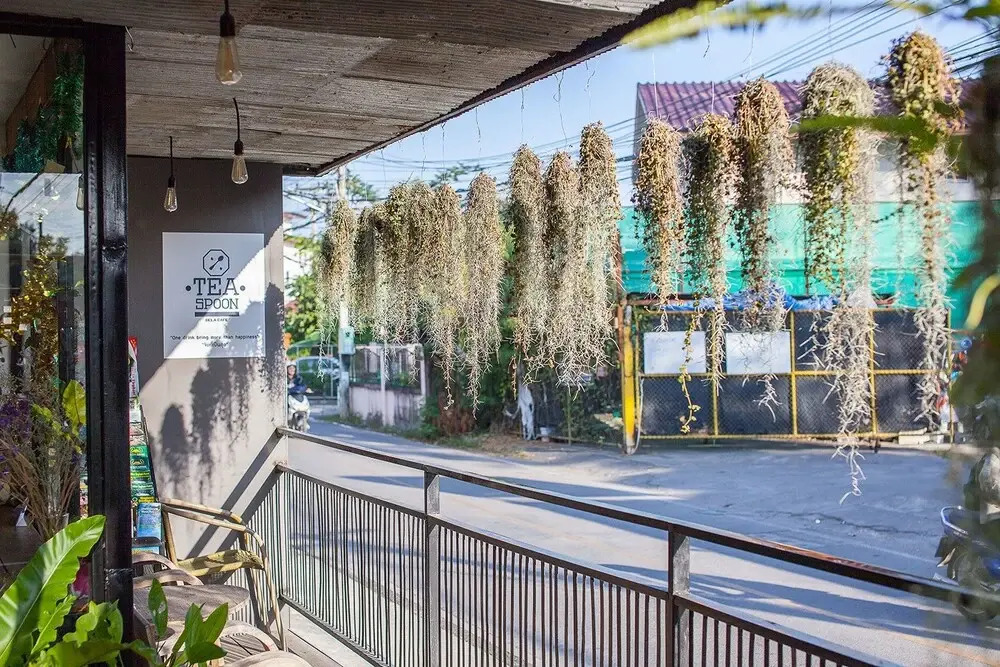 De La Villa Chiangmai