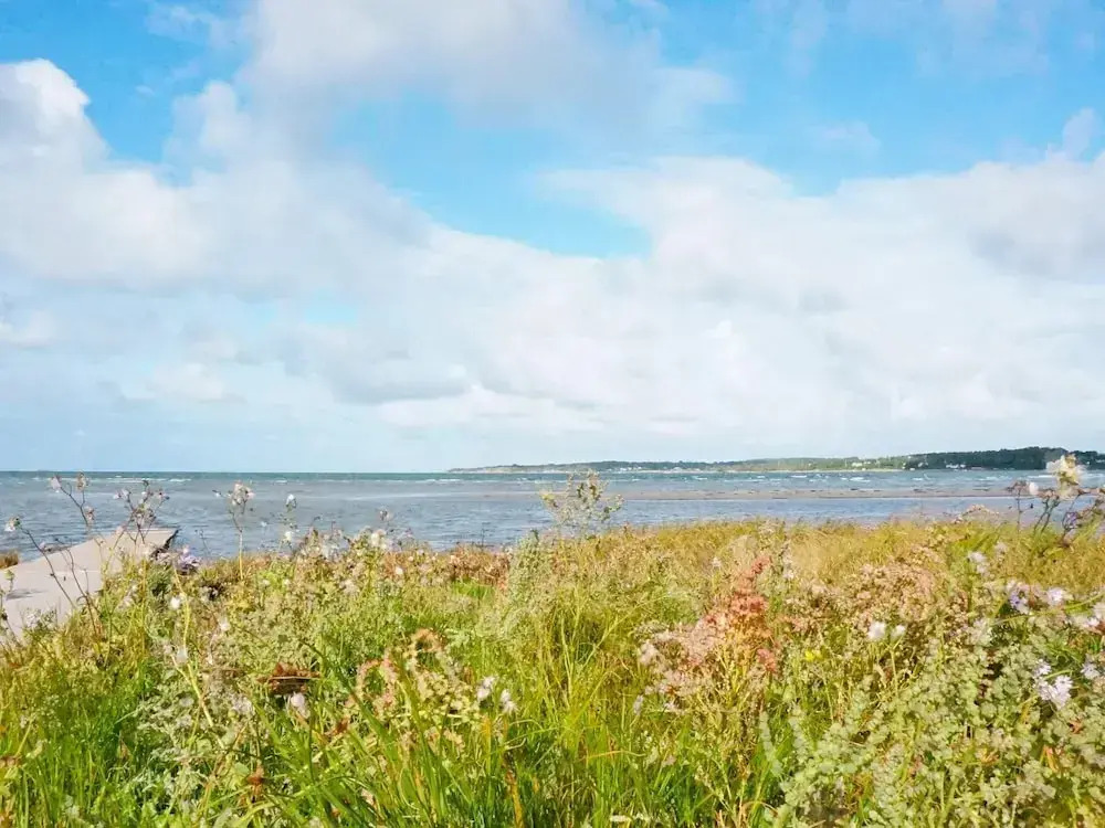 4 person holiday home in VARBERG-By Traum