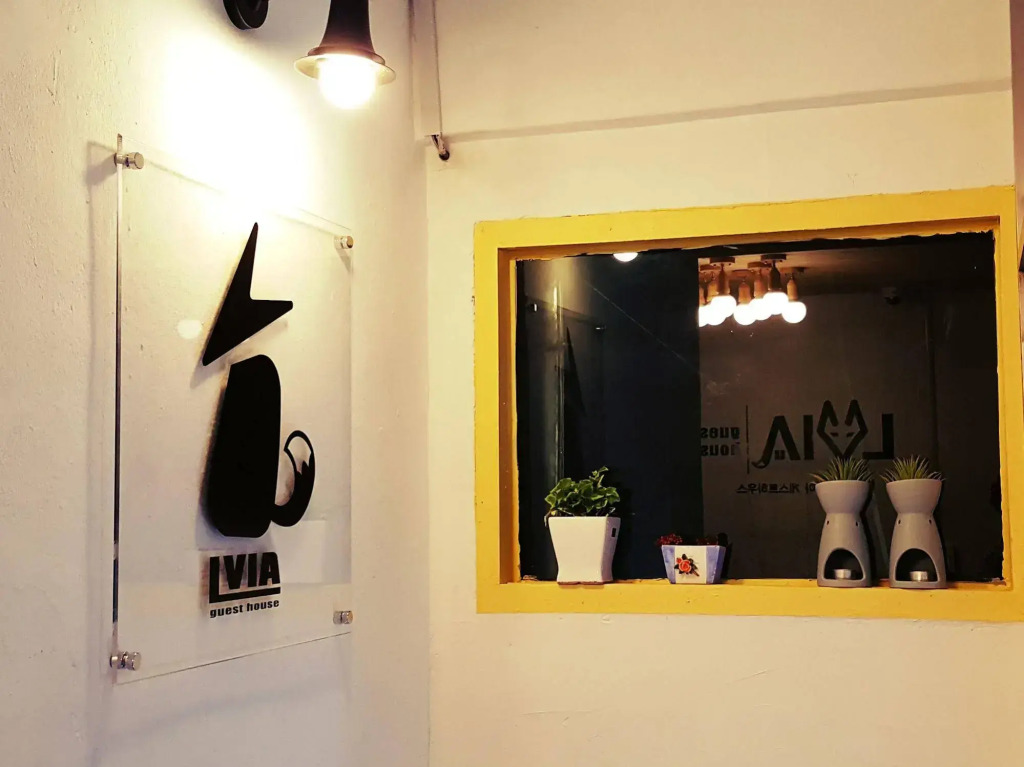 LVIA Guesthouse - Hostel