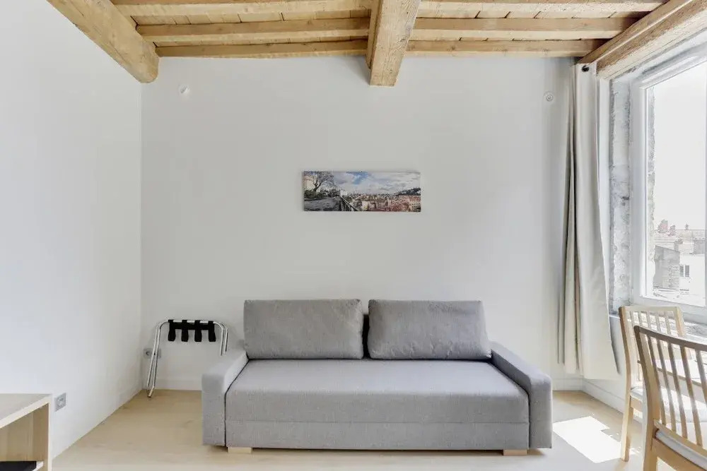 Beautiful Flat In The Heart Of Lyon