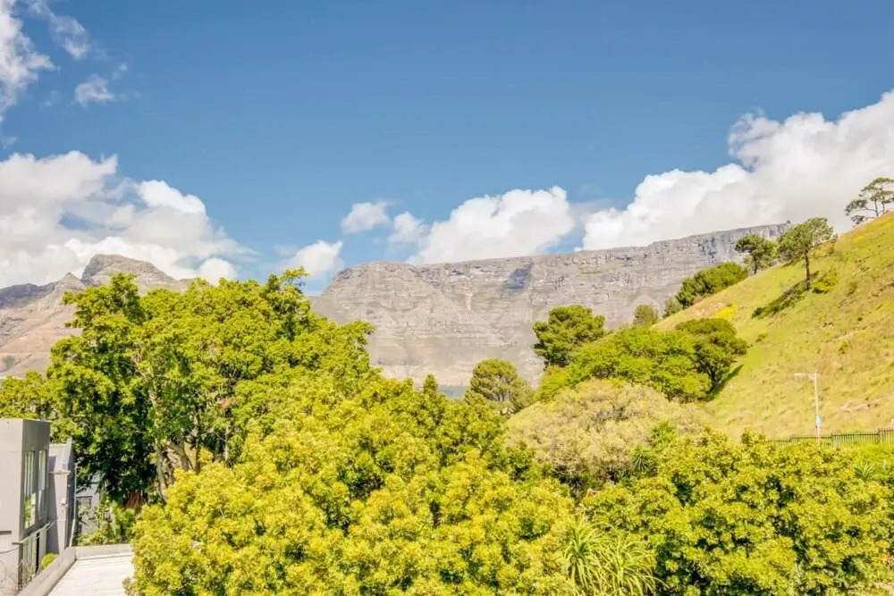Eclectic Apartment in the Bustling De Waterkant 209 DWP