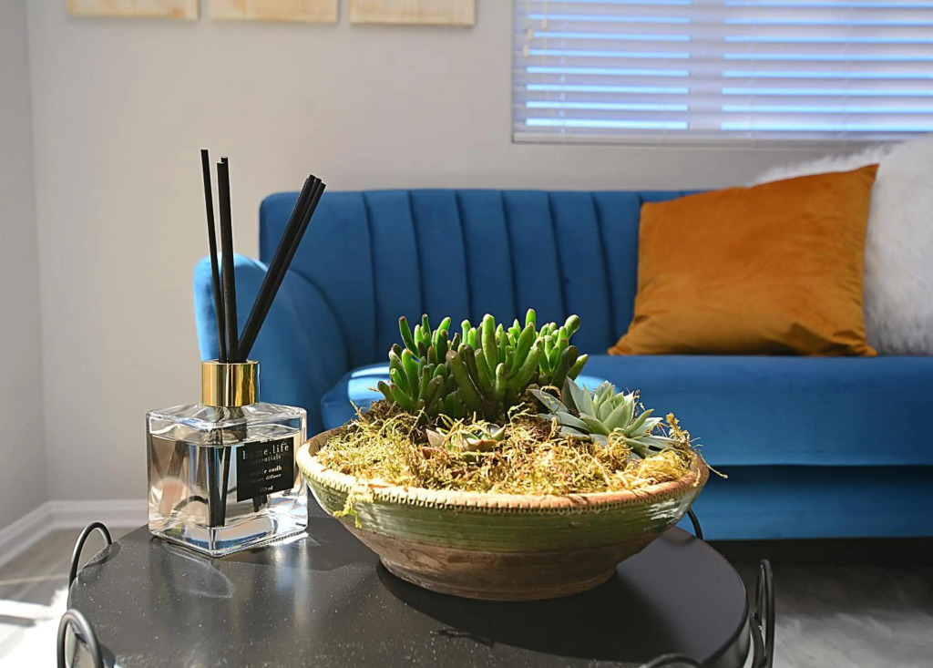 Modern Studio Apartment in Blouberg