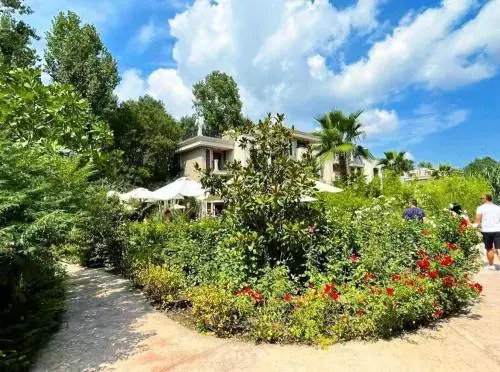 Cascadas Studio