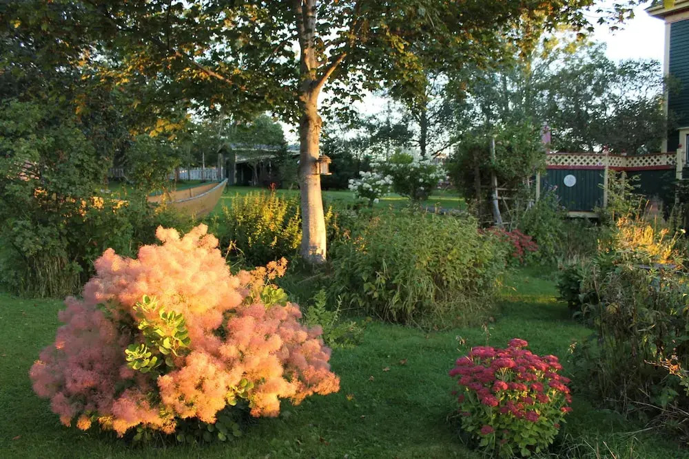 Rothesay House Heritage Inn B&B