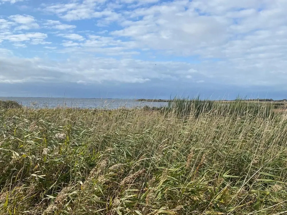 Reposeful Holiday Home in Skjern near Sea