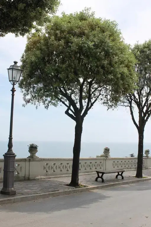 Affittacamere Acqua Salata B&B