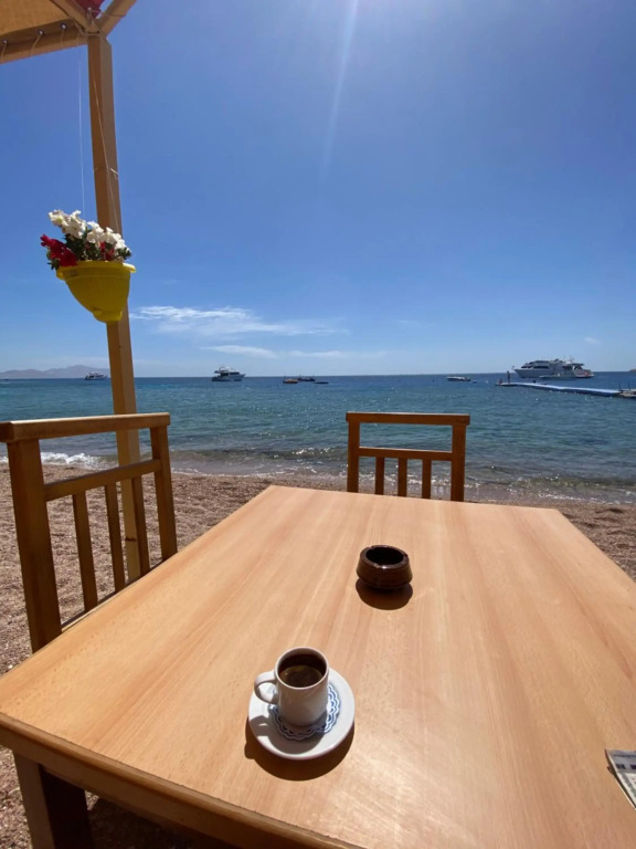 Shark's bay oasis 2 bedrooms apartment