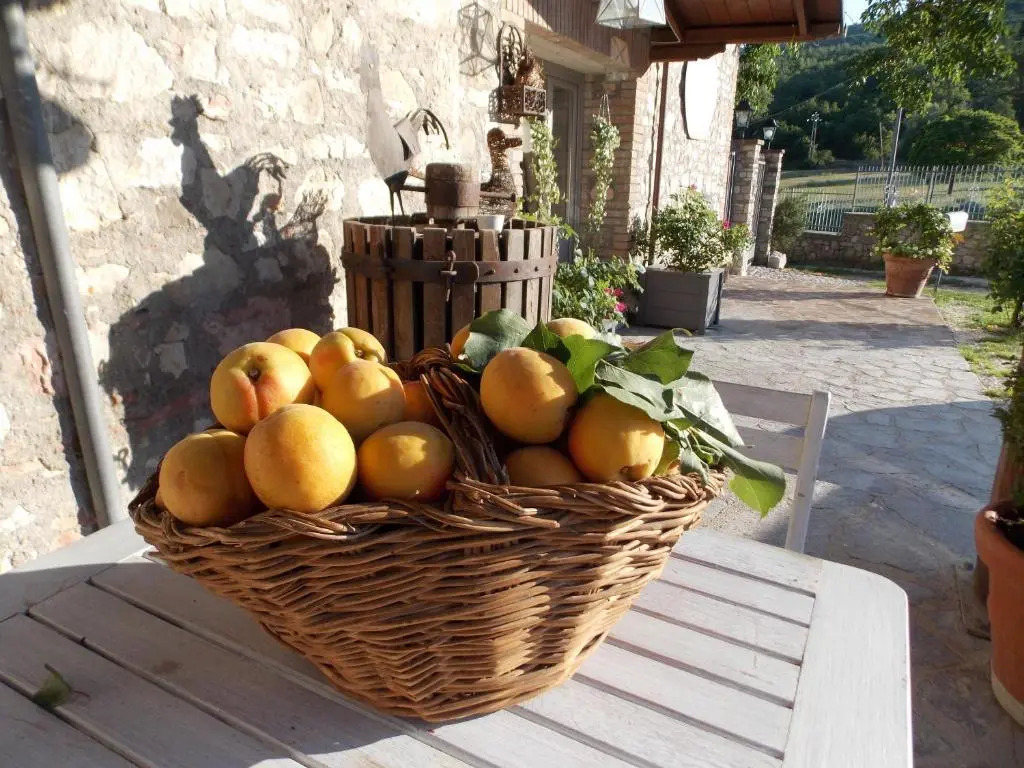 B&B Nonna Rosa