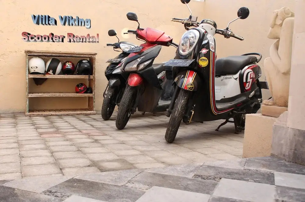 Villa Viking