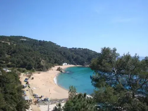Levantina 10