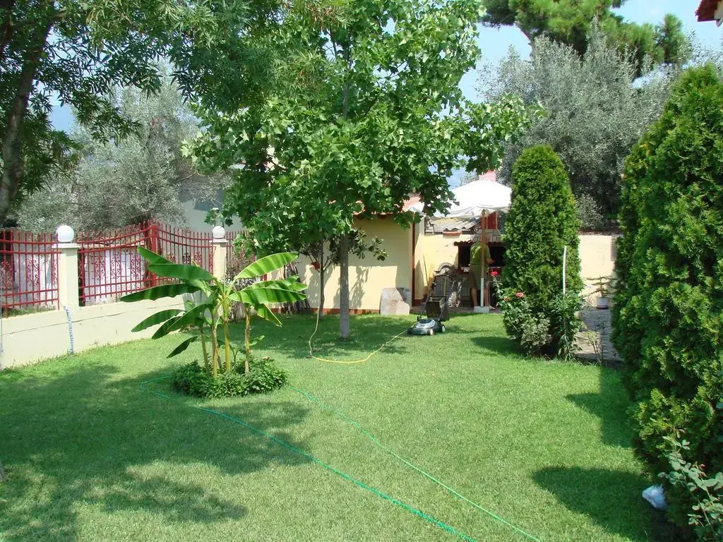 Fountoukis Studios