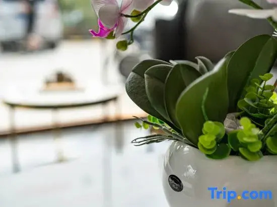 Yinxiang Boutique Hotel