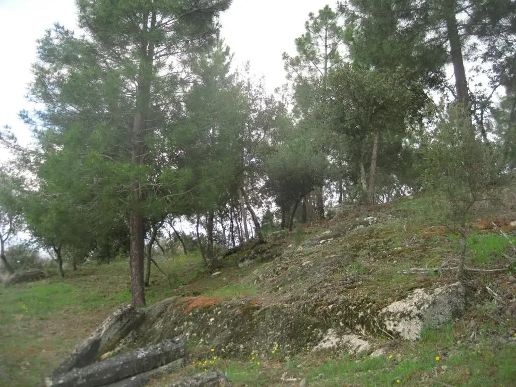 Quinta Santa Isabel