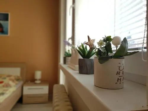 Apartman Valentina