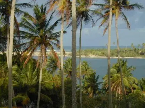 Barravilha Chales