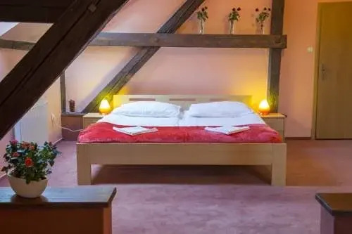 Penzion Slovanský Zámeček Český Těšín