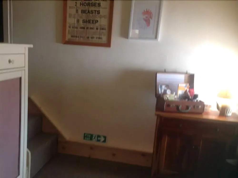 Lillys Pad