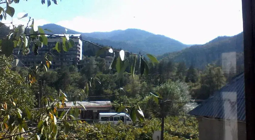 Borjomi Likani Homestay