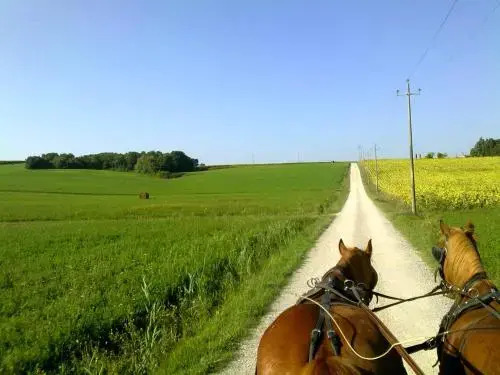 La Giuiaia - Agriturismo Azienda Agricola