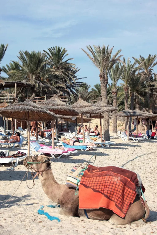 Hotel Homère Djerba