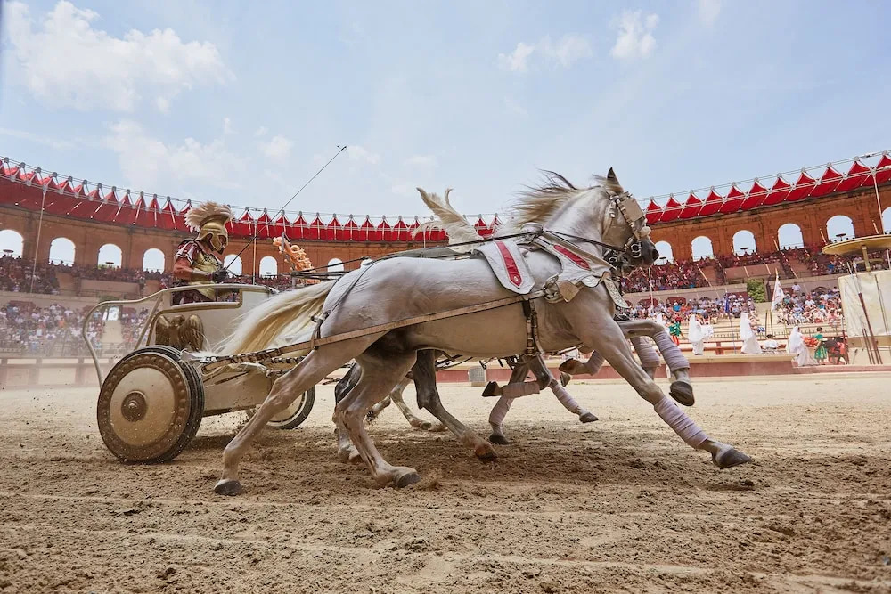 PUY DU FOU - Les Îles De Clovis + tickets
