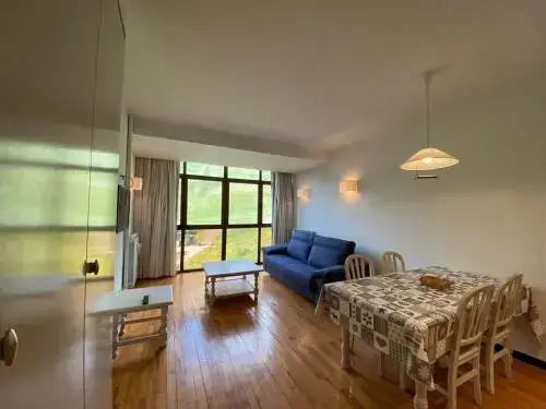 Apartamentos Pirineos Candanchu