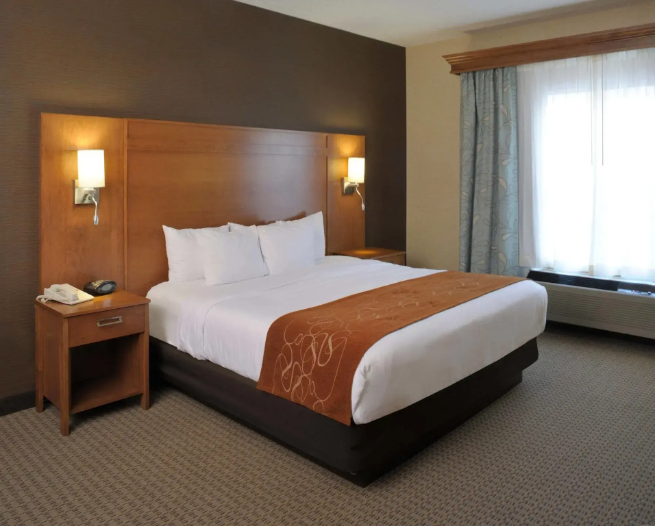 Comfort Suites Hotel and Conference Center