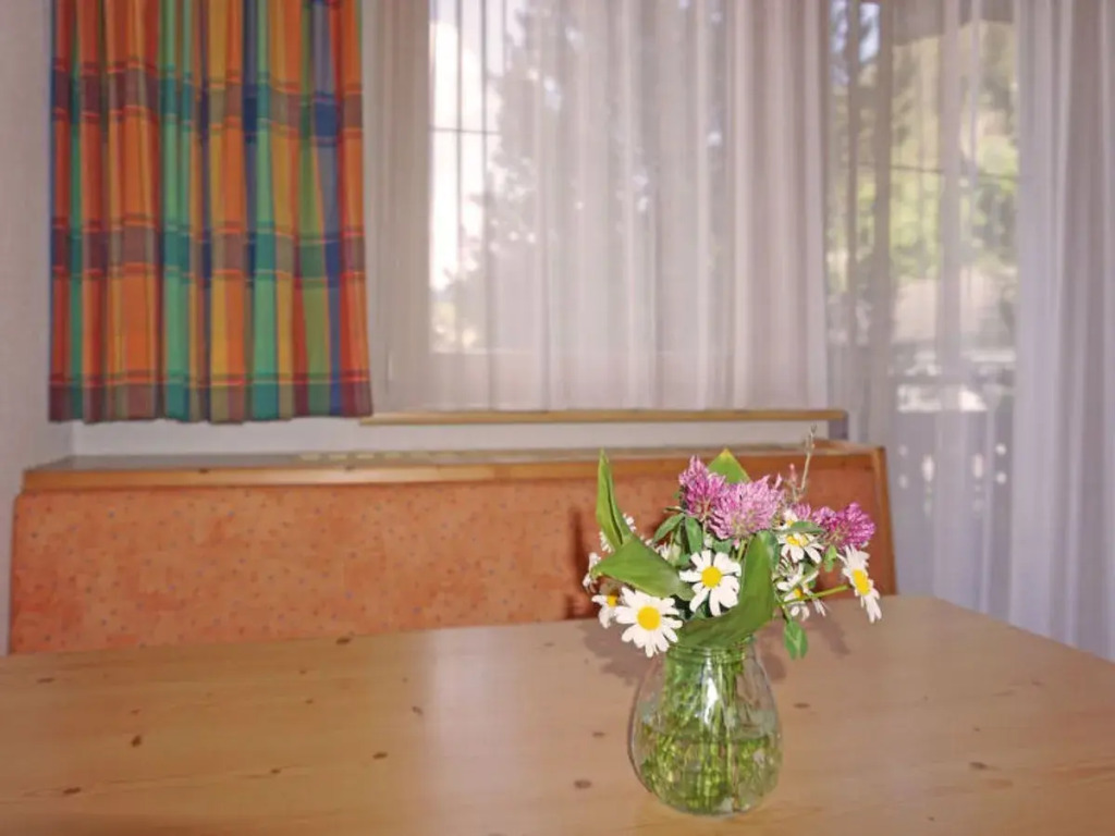 Apartment Diana Pettneu am Arlberg 14008