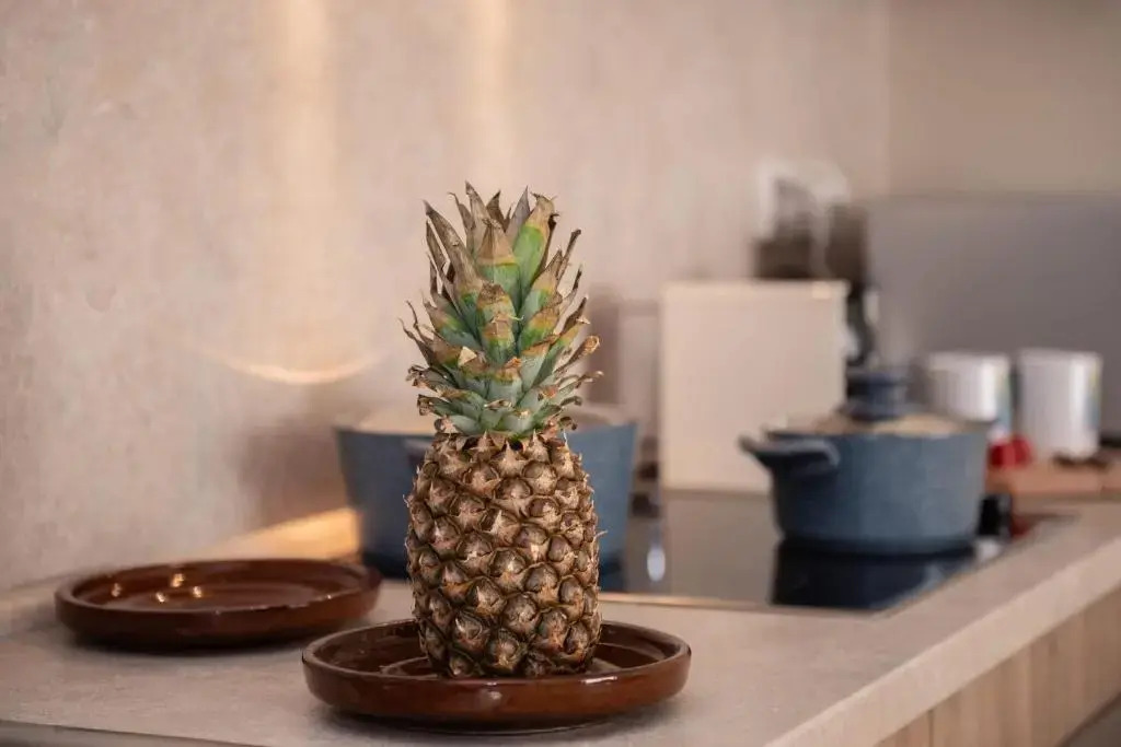 Earthy & Tranquil 1 BR Apt with Pool & Beach Access