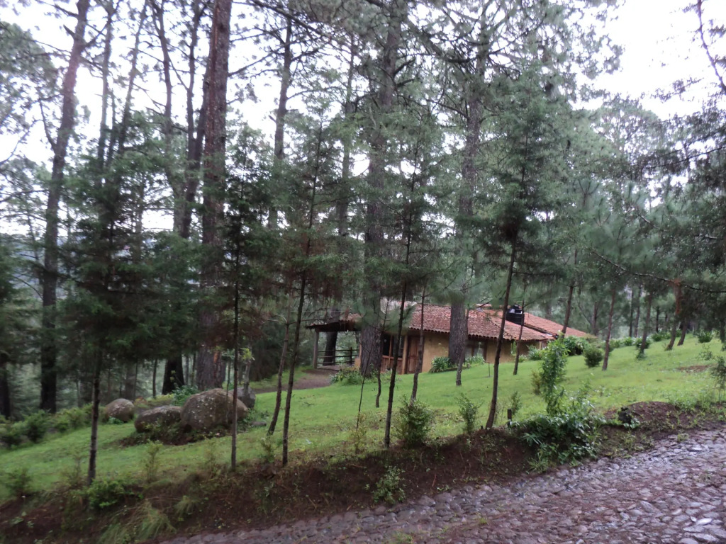 Cabañas El Pinar