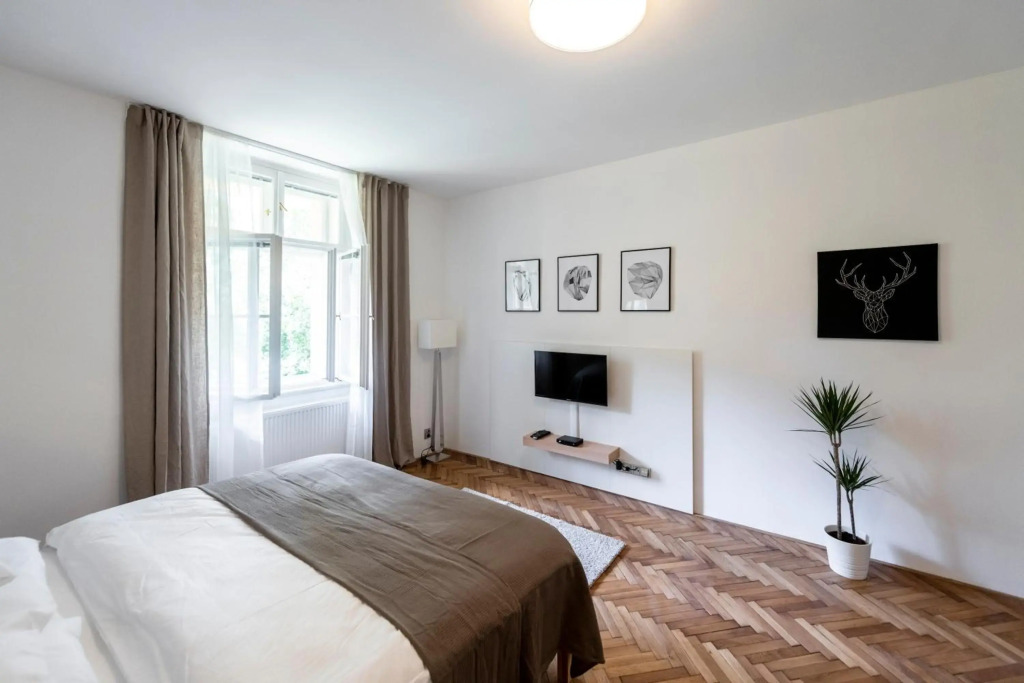 Apartment Slavikova 11
