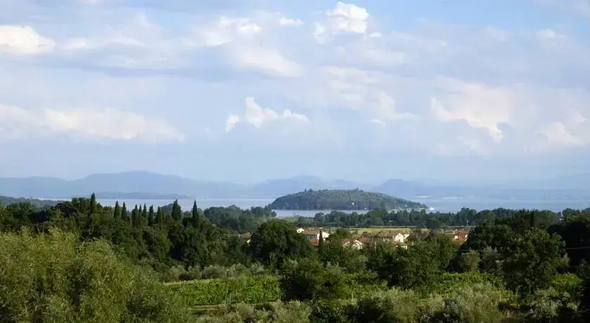 Verdi Colline