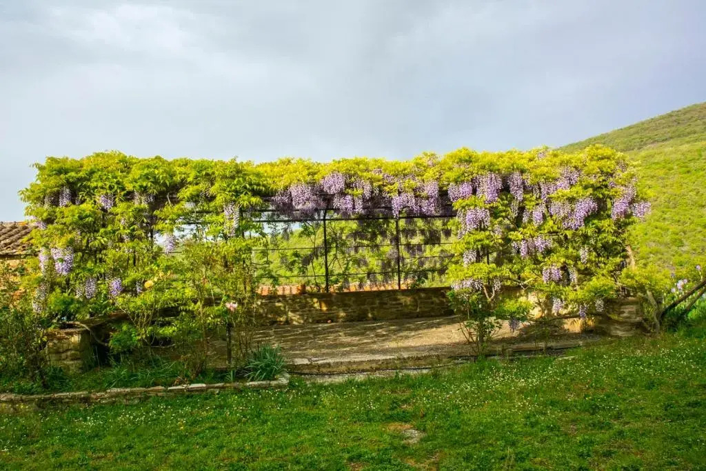 Borgo Solamore