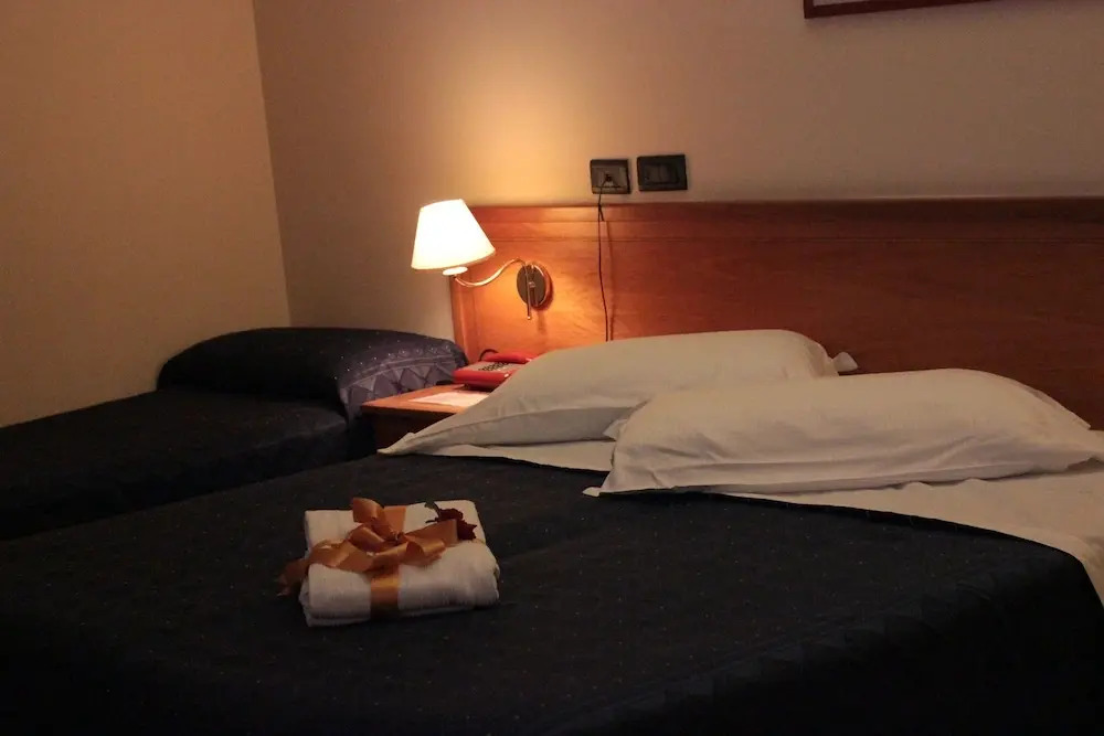 Lions Hotel