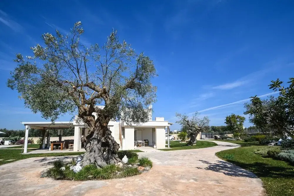 Trulli & Dimore - Villa Mariachiara