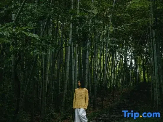 Wyndham Grand Plaza Royale Hot Springs Resort Tianmu Lake