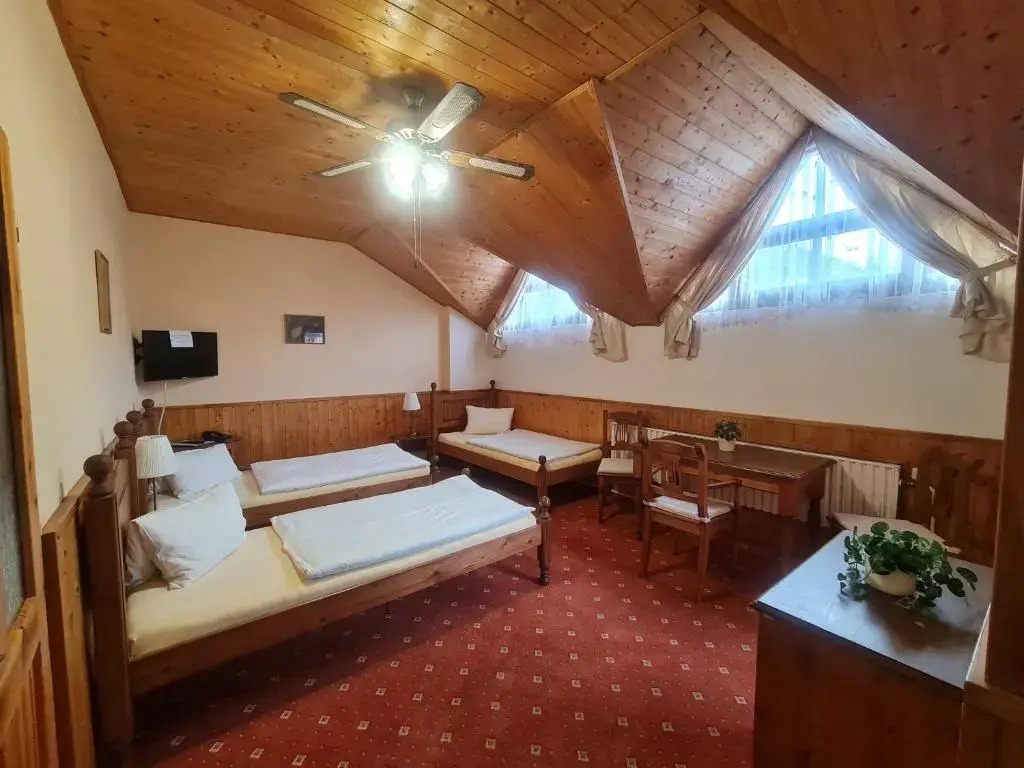 garni Hotel ASAS***