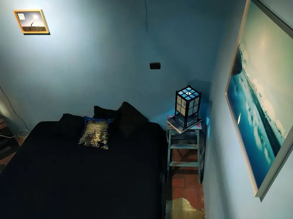 Casa Sponge