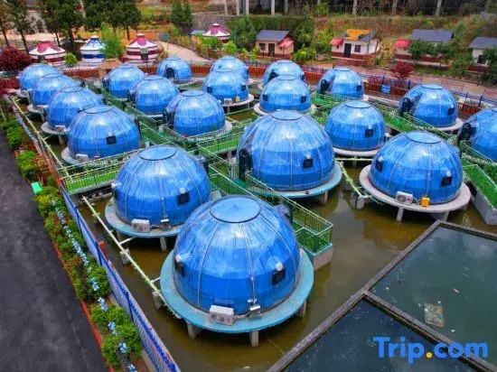 Water Starry Sky Homestay