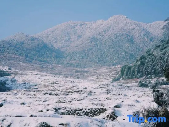 Home stay on cloud in Tonglu